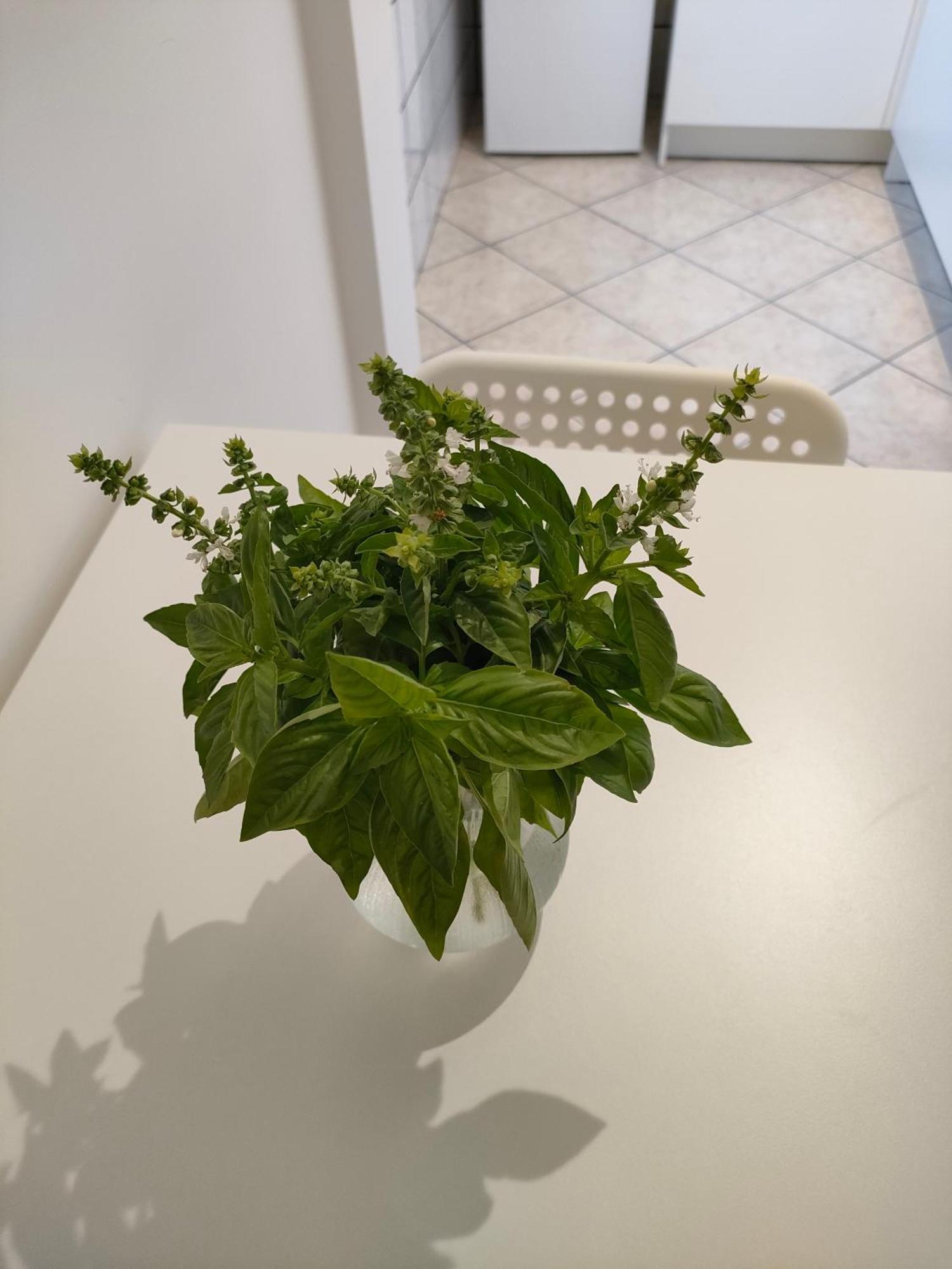 Lilla Housing Διαμέρισμα Castellammare di Stabia Εξωτερικό φωτογραφία